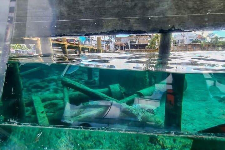 Transparent Boat Snorkel Tour in Cozumel — 360° Views of Reefs & Sunken Ships photo 5