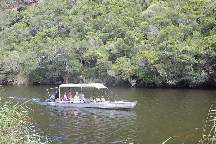 Touw River Boat Cruise Wilderness National Park — 90-Minute Wetland & Wildlife Voyage