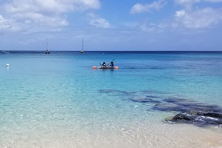 Folkestone Clear Kayak Tour — Reef & Wreck Kayaking in Barbados