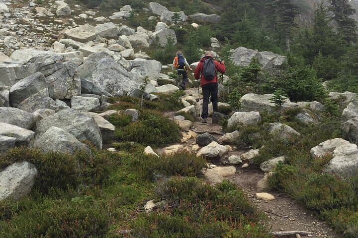 Sea-to-Sky Day Hike from Squamish: Guided Coastal Mountain Trails photo 4