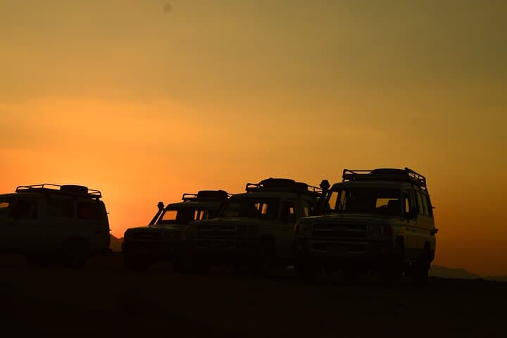 Sunset Jeep Safari in the Red Sea Desert: Wadi Belli & Bedouin Camp photo 4