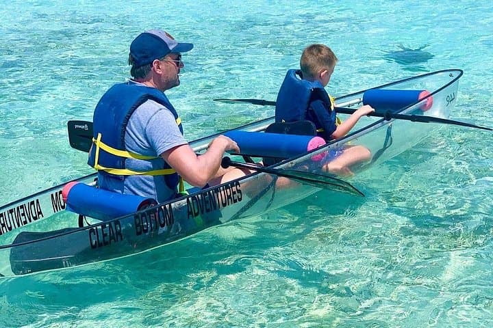 Clear-Bottom Kayak Mangrove Tour in Providenciales — See Turtles & Lemon Sharks photo 1