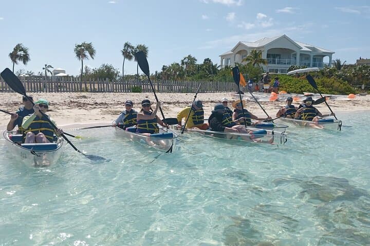 Clear-Bottom Kayak Mangrove Tour in Providenciales — See Turtles & Lemon Sharks photo 3