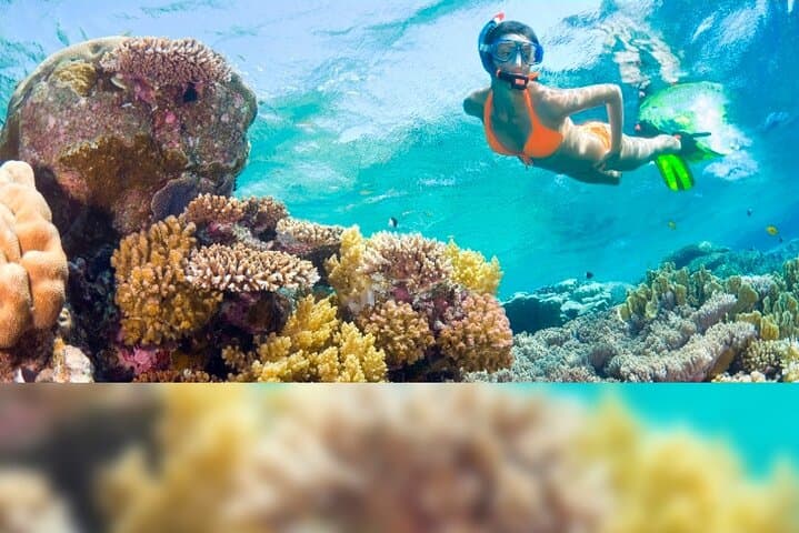3-Day Florida Getaway: Miami Sights, Everglades Airboat & Key West Snorkel photo 4