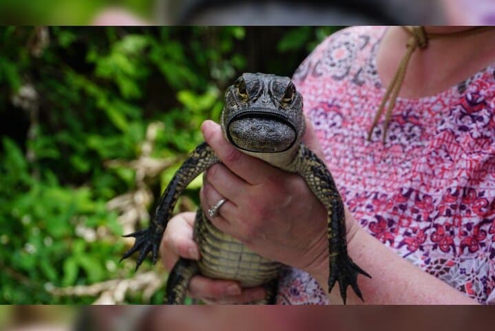 3-Day Florida Getaway: Miami Sights, Everglades Airboat & Key West Snorkel photo 3