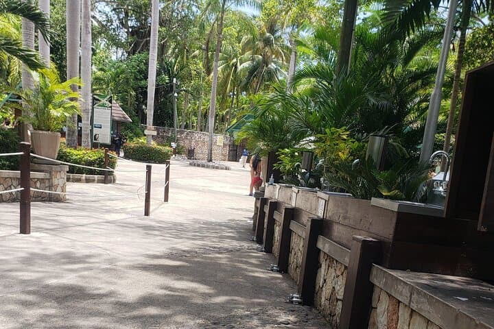 Climb Dunn's River Falls & Swim the Blue Hole: Full-Day Tour from Montego Bay photo 3