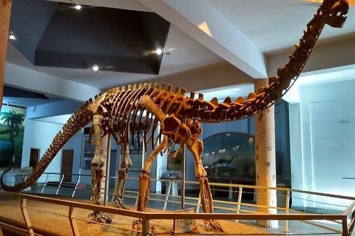 Hyderabad Day Tour: Snow World & Birla Science Museum with Buffet Lunch photo 3