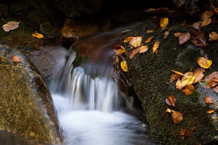 Blue Ridge Autumn Color Photography Half-Day Tour with Pro Instruction photo 5