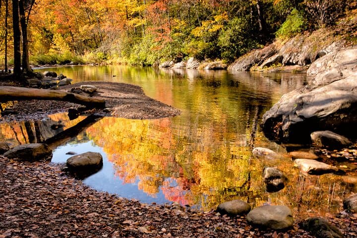 Blue Ridge Autumn Color Photography Half-Day Tour with Pro Instruction photo 6