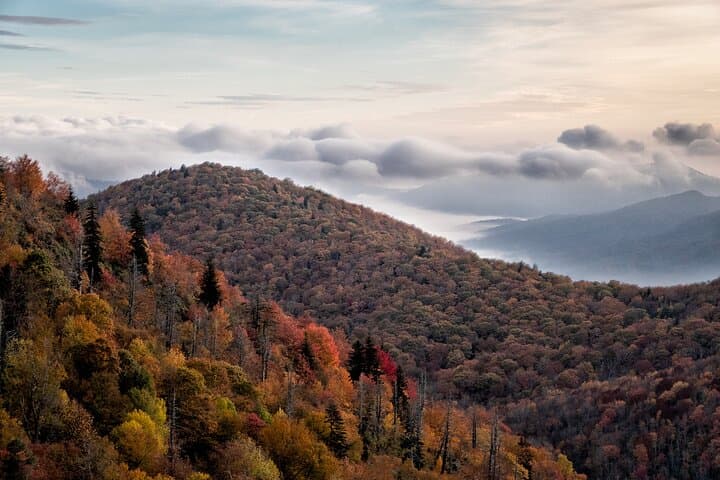 Blue Ridge Autumn Color Photography Half-Day Tour with Pro Instruction