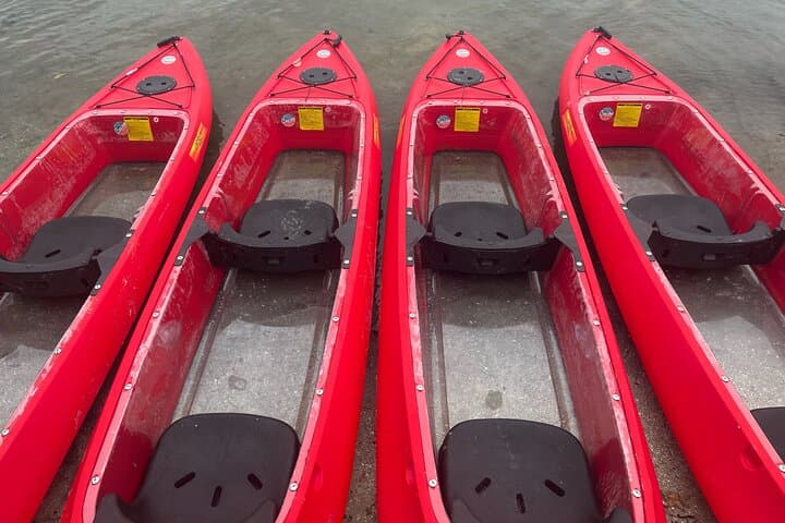 Merritt Island Bioluminescent Clear-Bottom Kayak Tour — Night Paddle Through Glowing Waters photo 4