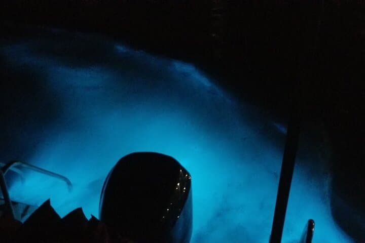 Night Swim at Jamaica’s Luminous Lagoon: Private Boat Tour from Montego Bay photo 4