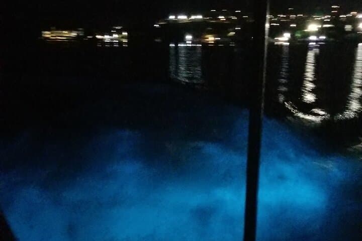 Night Swim at Jamaica’s Luminous Lagoon: Private Boat Tour from Montego Bay photo 5