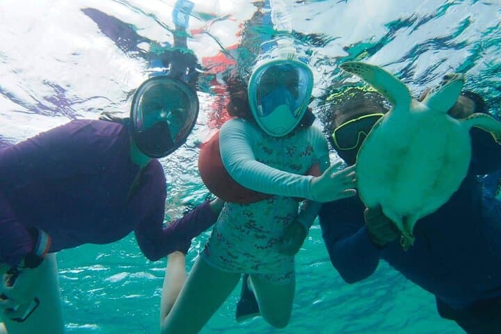 Stingray City Experience: Snorkel with Grand Cayman's Wild Rays photo 6