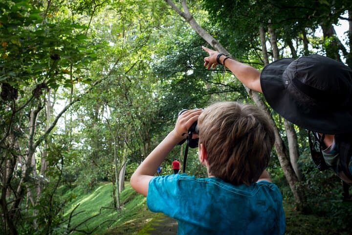 Urban Sloths & City Birds: San José Walking Nature Tour photo 5