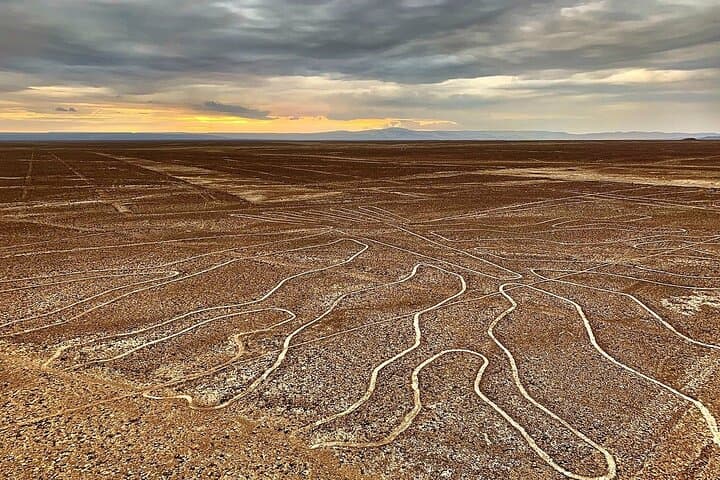 Nazca Lines Overflight & Huacachina Dune-Buggy Adventure from Nazca photo 2