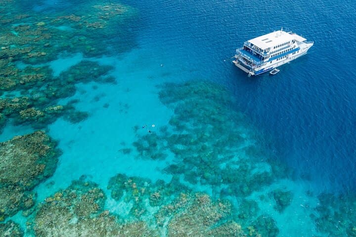 Overnight Liveaboard on the Great Barrier Reef: 2-Day Snorkel from Cairns