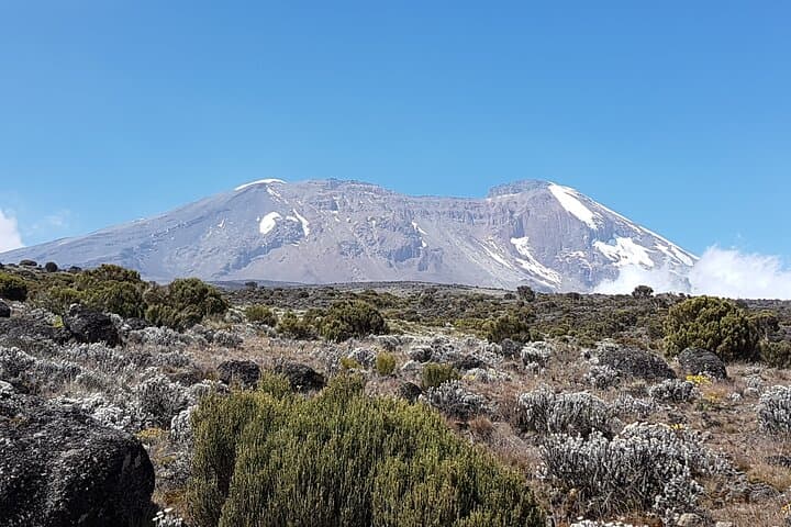 8-Day Lemosho Route Kilimanjaro Climb to Uhuru Peak photo 3