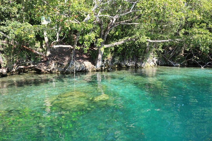 Explore Bacalar’s Lagoon of Seven Colors: Full-Day Private Boat & Blue Cenote Tour photo 5