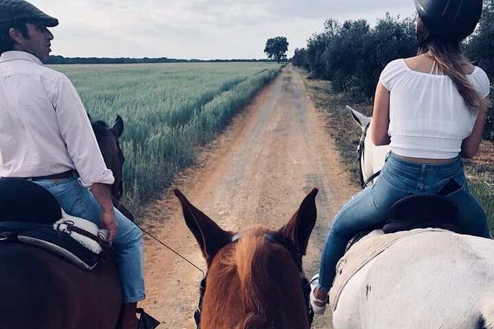 Horseback Riding in Granada: Sierra Nevada Ranch Ride & Andalusian Horses photo 3