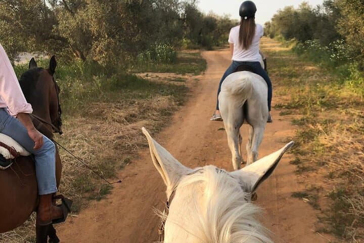 Horseback Riding in Granada: Sierra Nevada Ranch Ride & Andalusian Horses photo 6