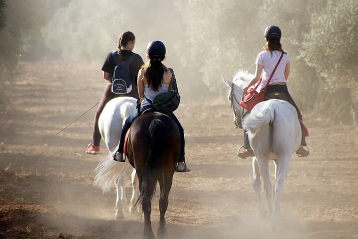 Horseback Riding in Granada: Sierra Nevada Ranch Ride & Andalusian Horses photo 2