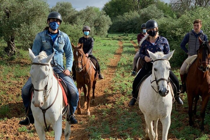 Horseback Riding in Granada: Sierra Nevada Ranch Ride & Andalusian Horses photo 4