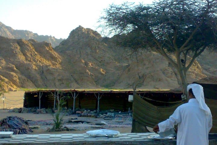 Desert Safari 5-in-1: Quad, Camel, Bedouin Dinner & Stargazing in Sharm el-Sheikh photo 2