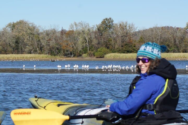 Sandhill Crane Kayak Tour on the Tennessee River near Chattanooga photo 1