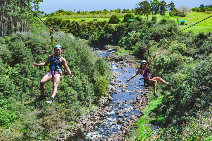 Soaring Over Hawai‘i’s Umauma Falls: The Ultimate 4-Line Zipline Adventure photo 4