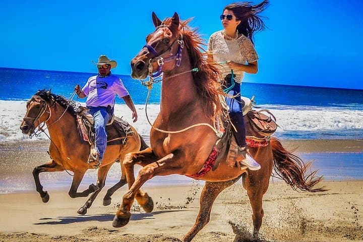 Gallop Migriño Beach: 10-Mile Horseback Ride Near Cabo San Lucas photo 1