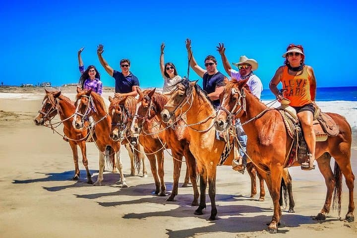 Gallop Migriño Beach: 10-Mile Horseback Ride Near Cabo San Lucas photo 2