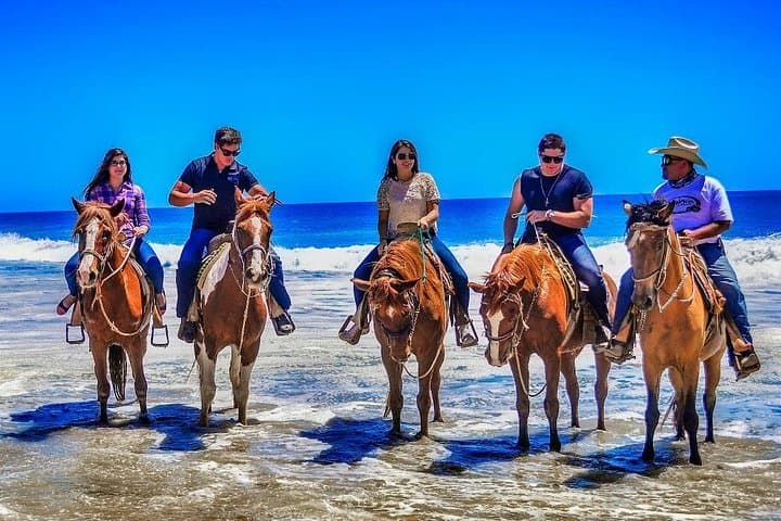Gallop Migriño Beach: 10-Mile Horseback Ride Near Cabo San Lucas photo 3