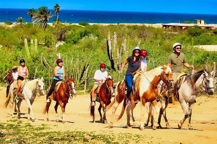 Gallop Migriño Beach: 10-Mile Horseback Ride Near Cabo San Lucas photo 4