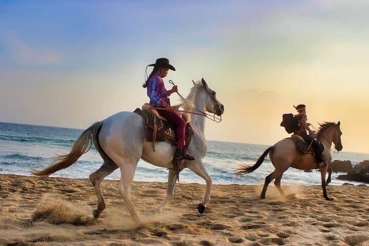 Old West Horseback Riding Experience in San José del Cabo — Beach & Desert Ride photo 2