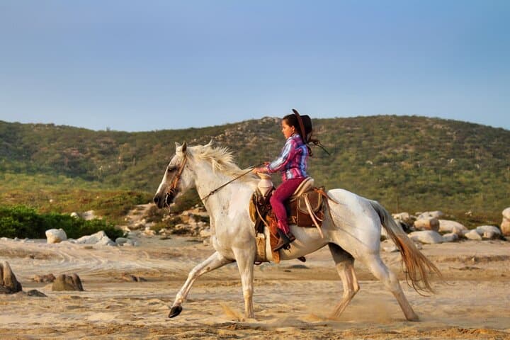 Old West Horseback Riding Experience in San José del Cabo — Beach & Desert Ride photo 3