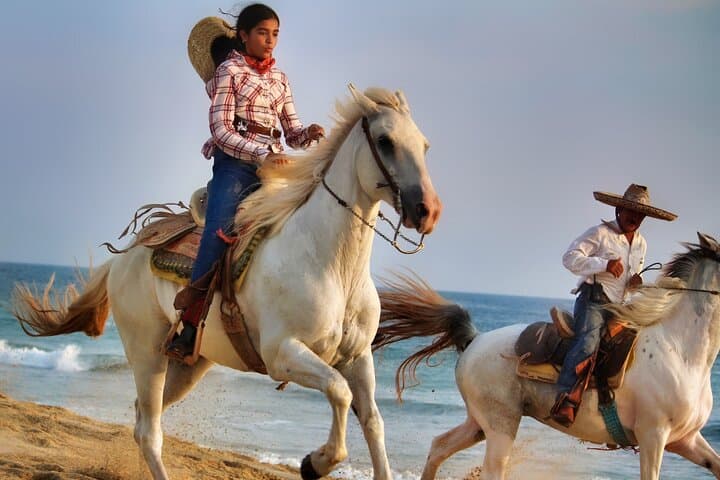 Old West Horseback Riding Experience in San José del Cabo — Beach & Desert Ride photo 6