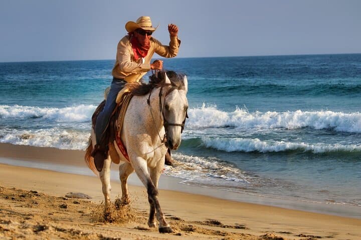 Old West Horseback Riding Experience in San José del Cabo — Beach & Desert Ride photo 5