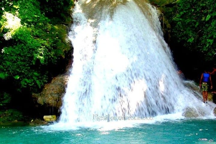 Blue Hole & Secret Falls to Luminous Lagoon: Montego Bay Private Tour photo 5