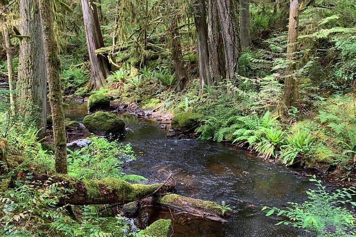 Sunshine Coast Escape from Vancouver: Smuggler Cove, Gibsons & Sechelt Day Tour photo 2
