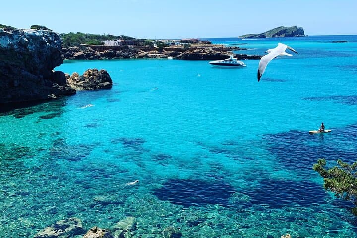 Ibiza SUP & Snorkel VIP: Private Paddleboarding and Hidden Coves Cruise photo 2
