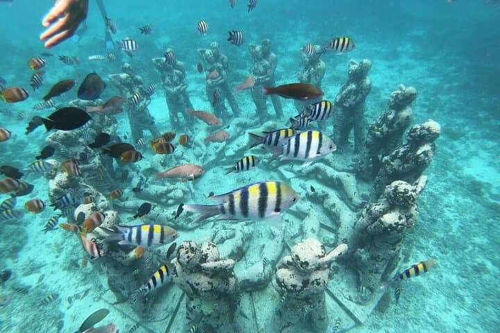 Gili Islands Snorkeling Day Trip from Lombok: Turtles & Coral Gardens photo 1