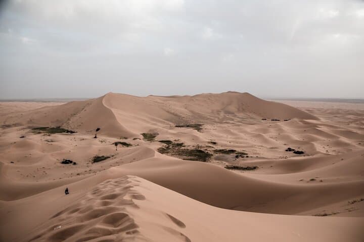 Fez to Marrakech: 3-Day Erg Chebbi Desert Adventure photo 5