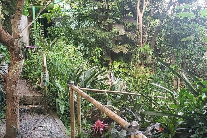 Phantasea Tropical Botanical Garden: St. Thomas Nature Walk & Orchid Collection photo 5