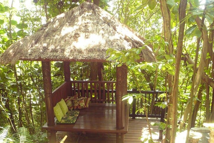 Phantasea Tropical Botanical Garden: St. Thomas Nature Walk & Orchid Collection photo 6