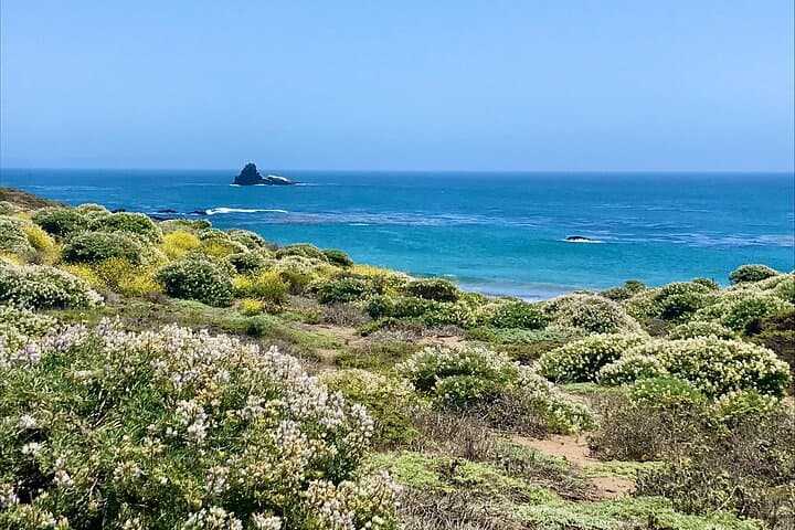 Private Central Coast Tour: Morro Bay, Big Sur & Hearst Castle photo 4