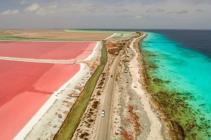 Bonaire North & South Guided Island Tour: Rincon, Salt Flats & Coastal Views photo 2