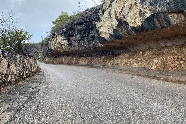 Bonaire North & South Guided Island Tour: Rincon, Salt Flats & Coastal Views