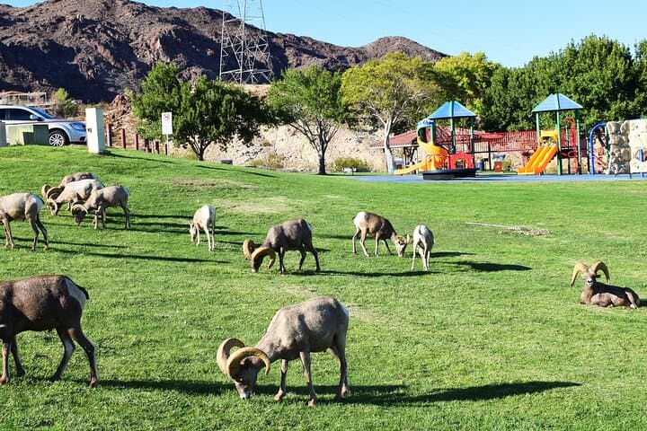 Hoover Dam Walk & Bridge Views: Small-Group Tour from Las Vegas photo 6