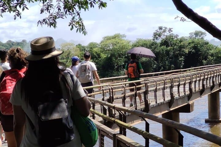 Iguazu Falls Full-Day Tour from Puerto Iguazú — Devil's Throat & Rainforest Walks photo 4